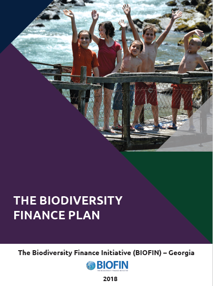 The Biodiversity Finance Plan (BFP)