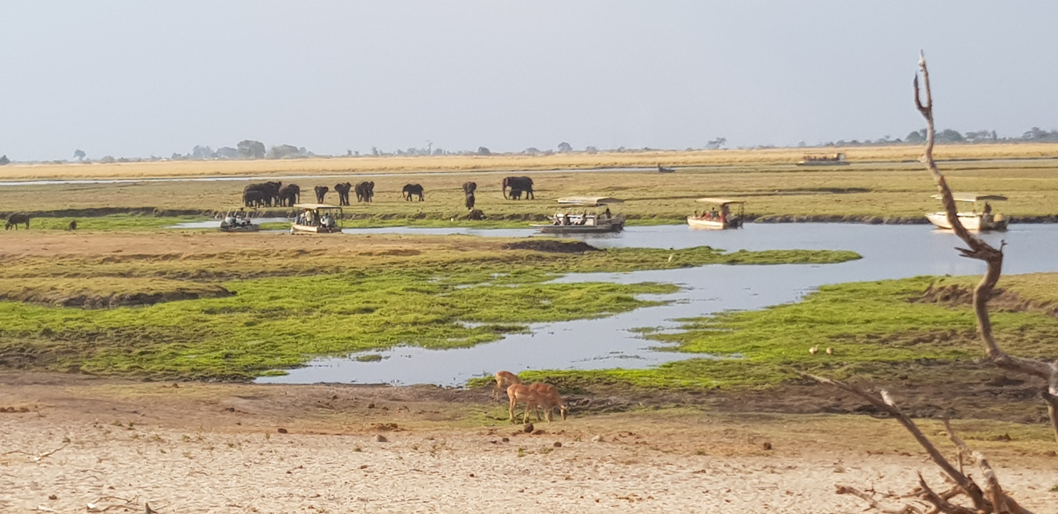 drying Chobe river front