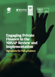 Engaging Private Finance in the NBSAP