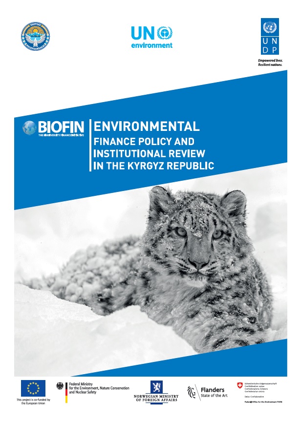 Environmental Finance Policy and Institutional Review in the Kyrgyz Republic