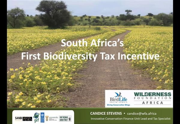Implementing the biodiversity finance plan